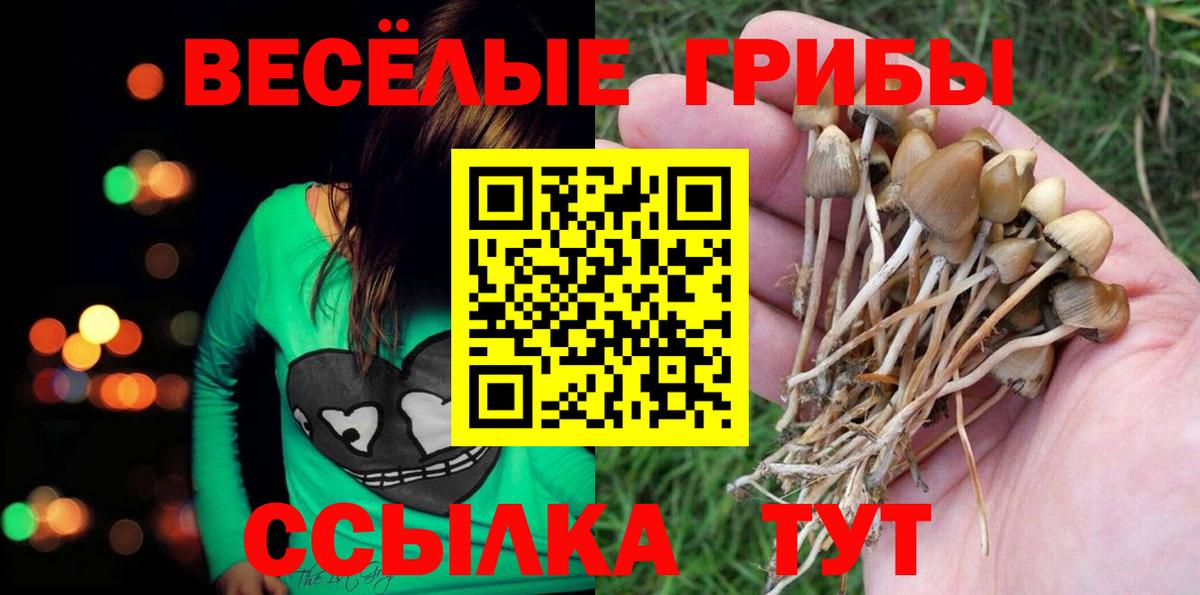 Новодвинск  Галлюциногенные грибы MAGIC MUSHROOMS  Вход с VPN 